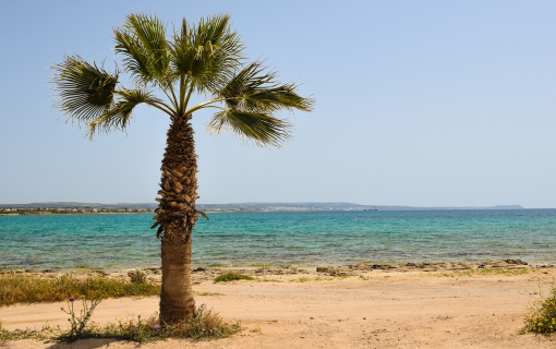 Najljepše plaže na Kipru - Aja Napa, Protaras (naših top 5)