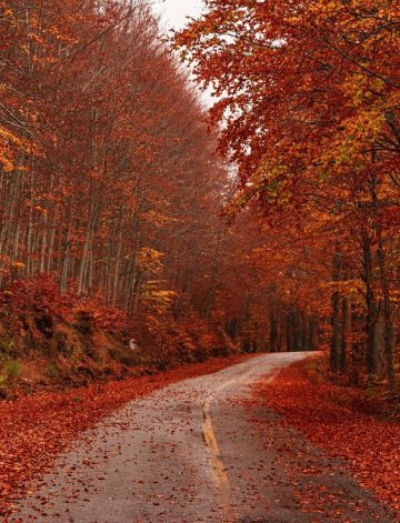 Jesenja čarolija: Najlepše destinacije za jesenja putovanja u Evropi