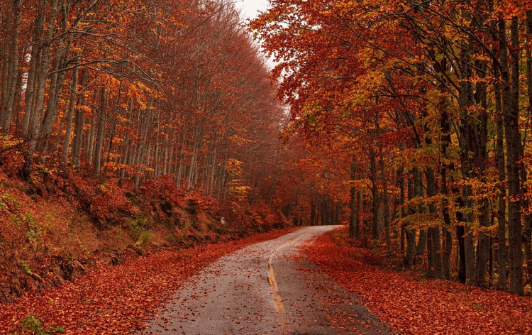Jesenja čarolija: Najlepše destinacije za jesenja putovanja u Evropi
