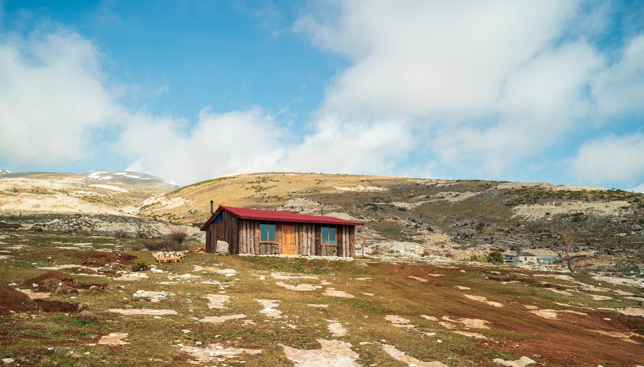 planina_1.jpg